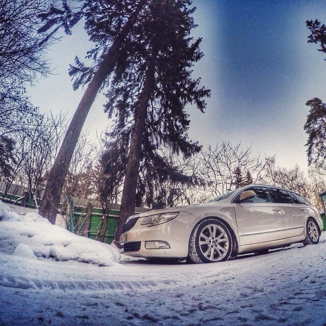 Skoda Superb Winter Forest