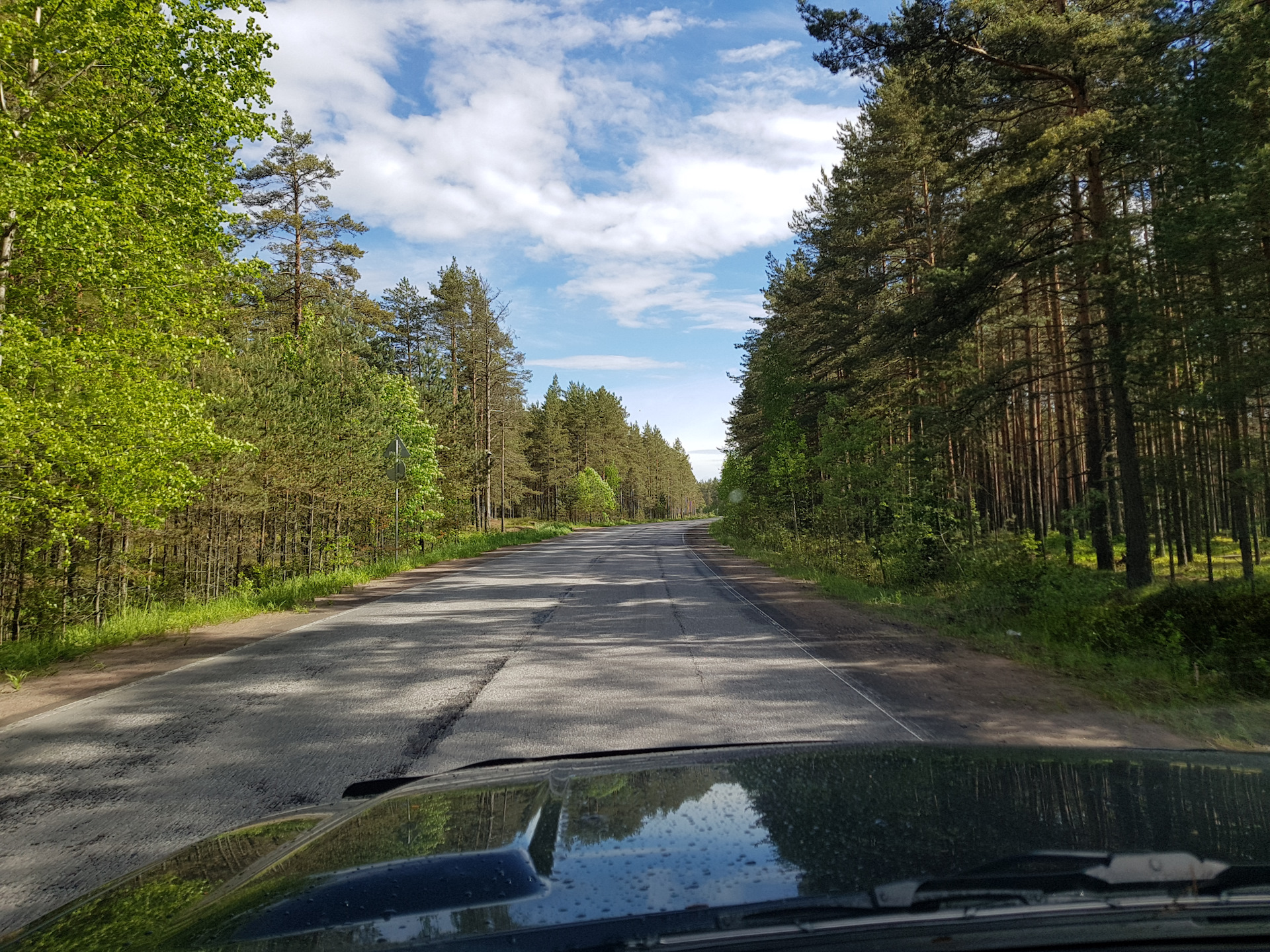 приморское шоссе санкт петербург