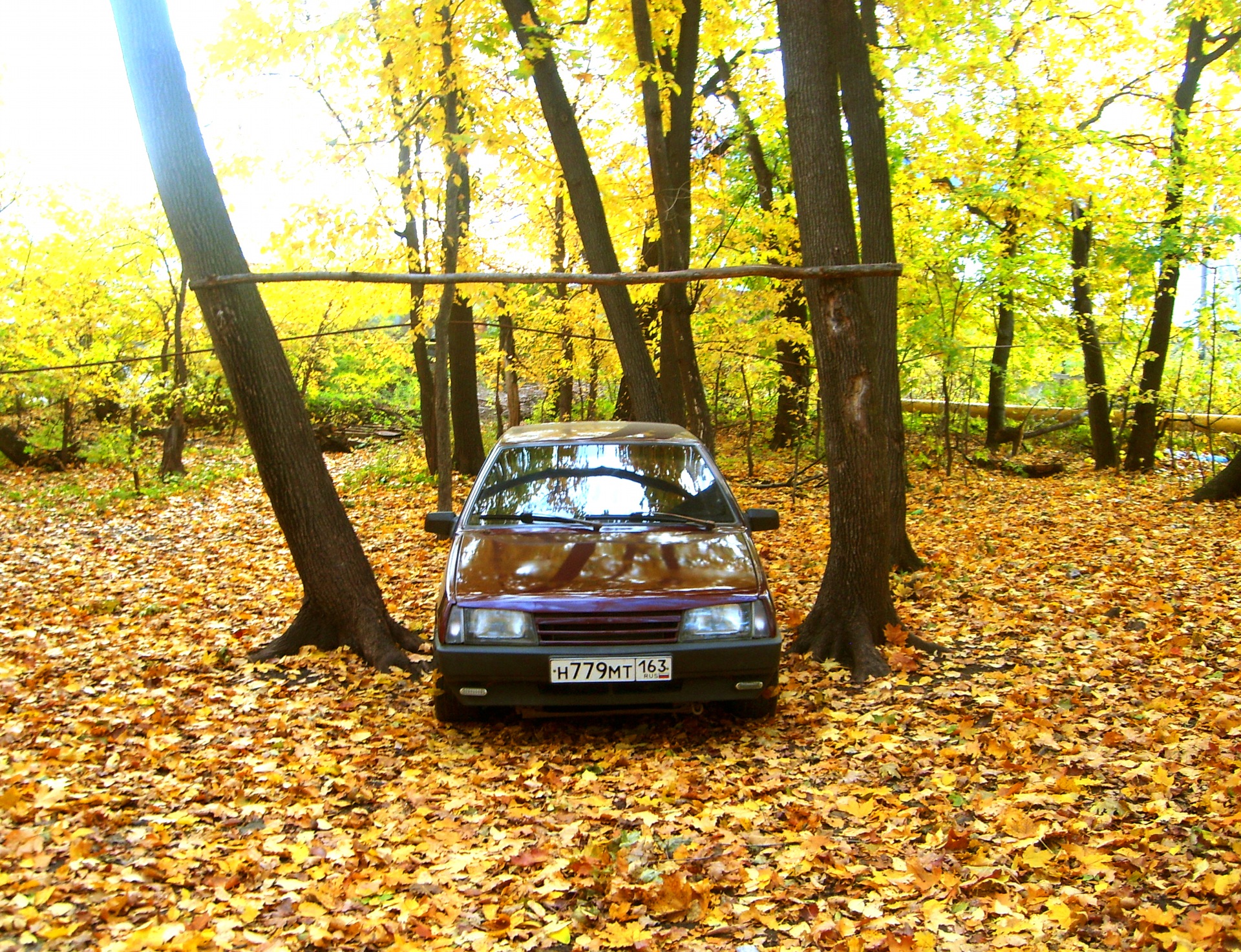 Осень. Лес. Листья. Много листьев. — Lada 21083, 1,6 л, 1996 года |  фотография | DRIVE2