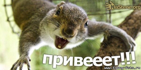 Замена моторчика дворников — Lada Приора хэтчбек, 1,6 л, 2008 года ...