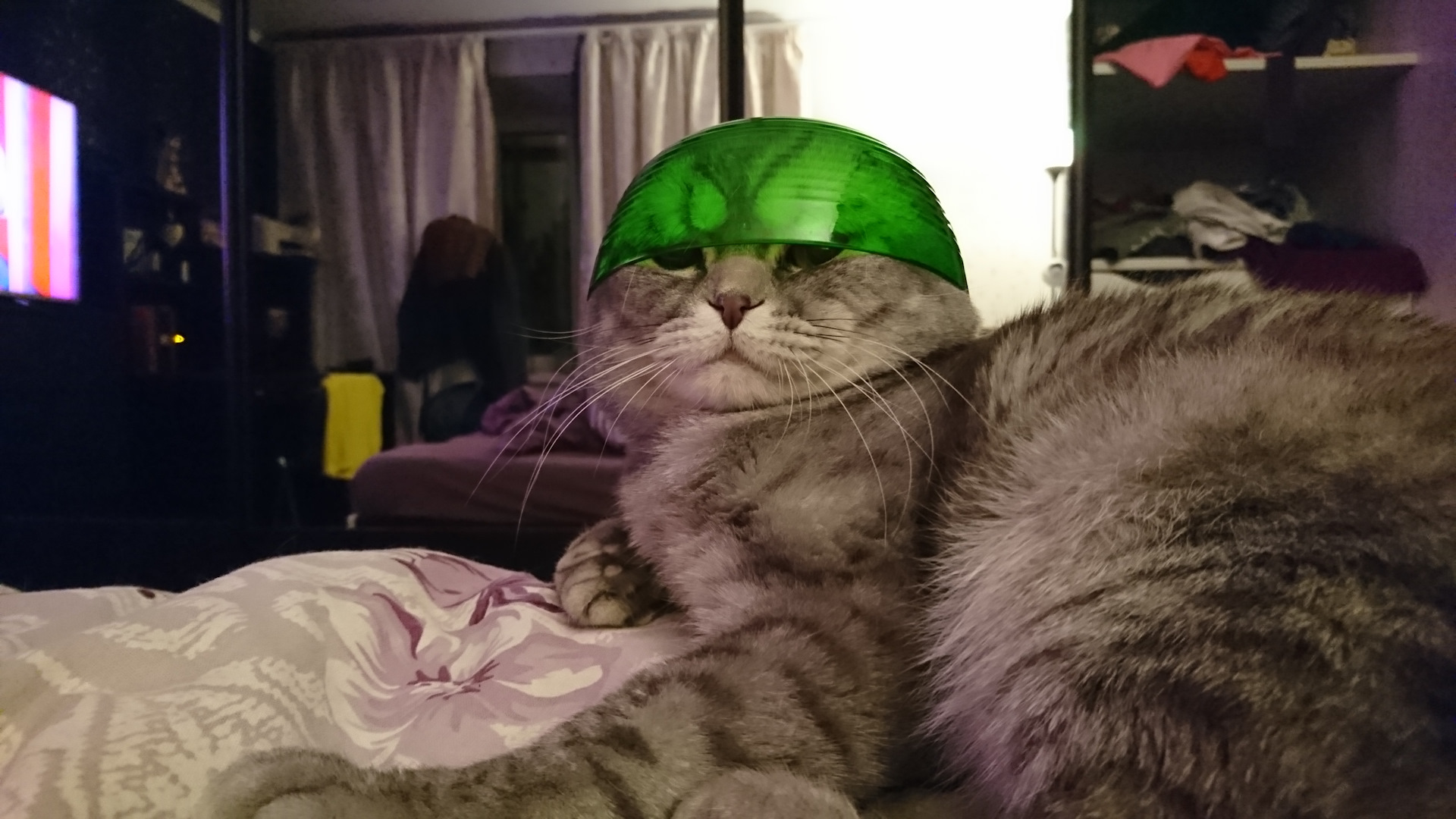 врагов воронеж. к бою готовы. к бою готов. профиль 18к боев танки. ты готова.