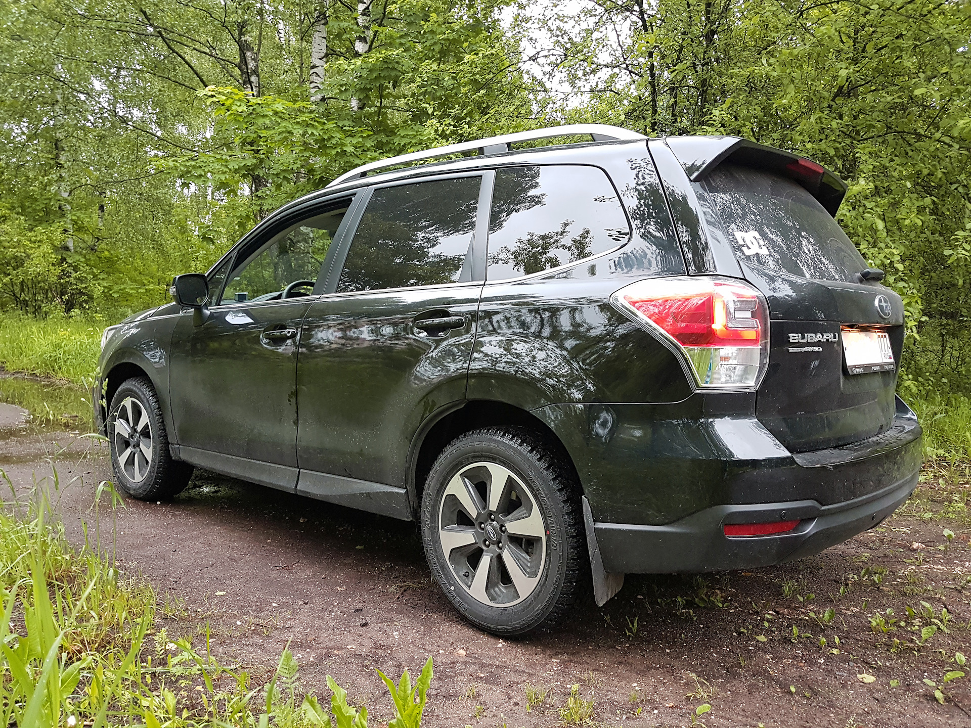 Forester drive2