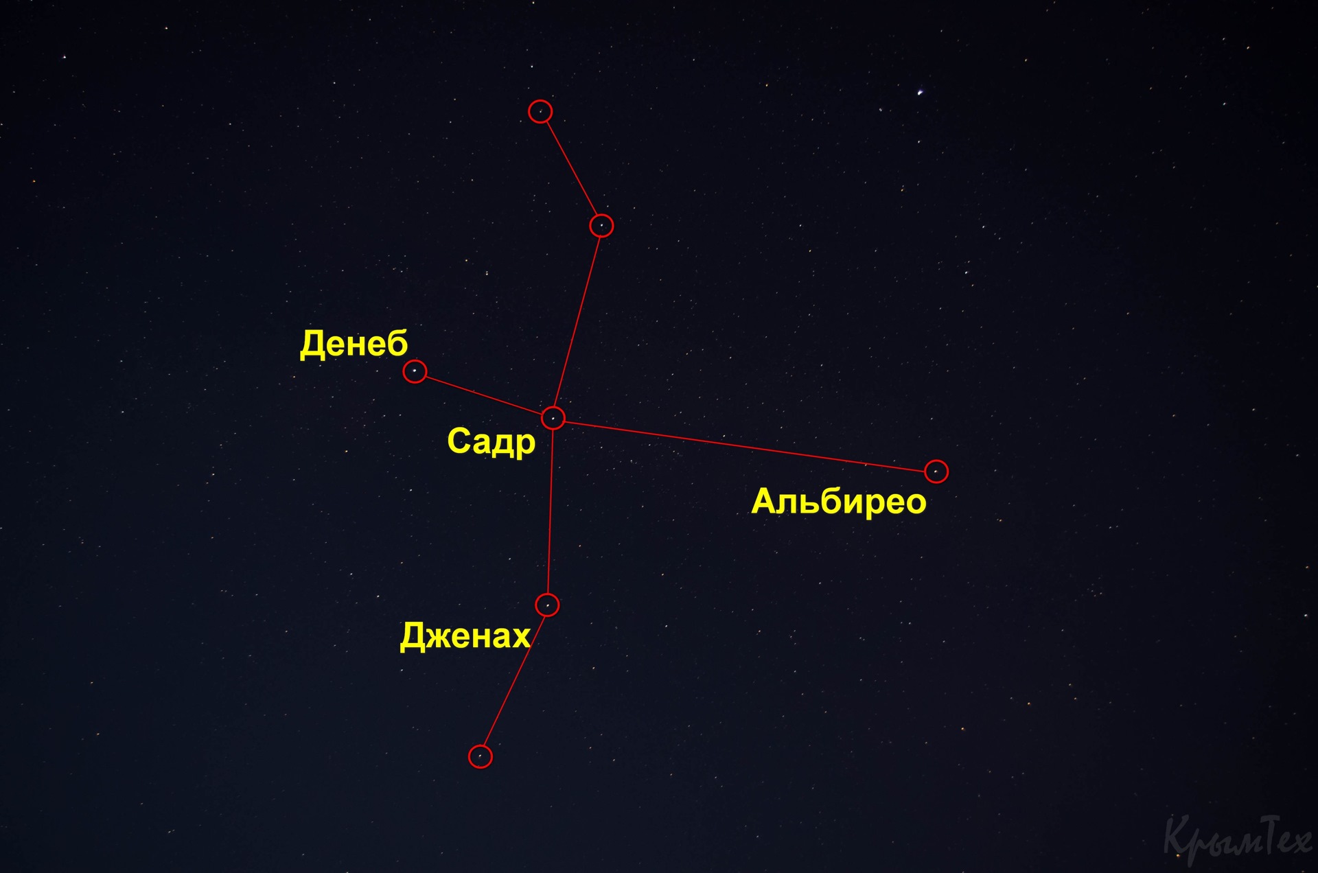 Созвездие лебедя схема с названиями звезд