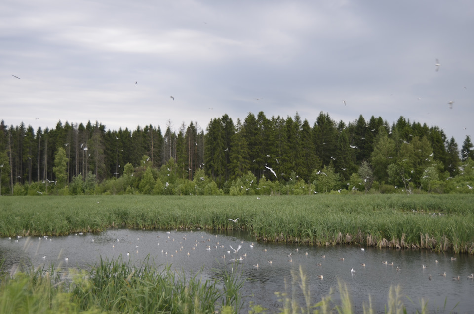 Путешествие из пункта В(Вологда) в пункт А(Анапа) и обратно (часть 1 ...