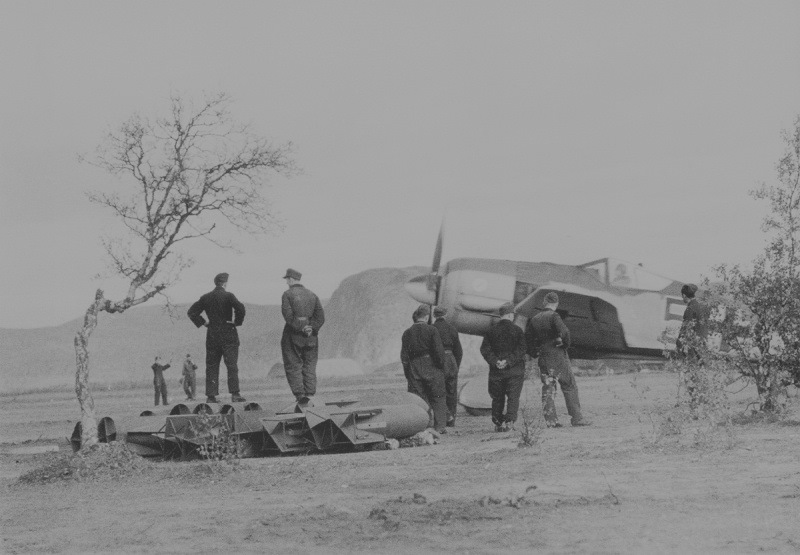 Фото в бортжурнале Nissan Terrano III