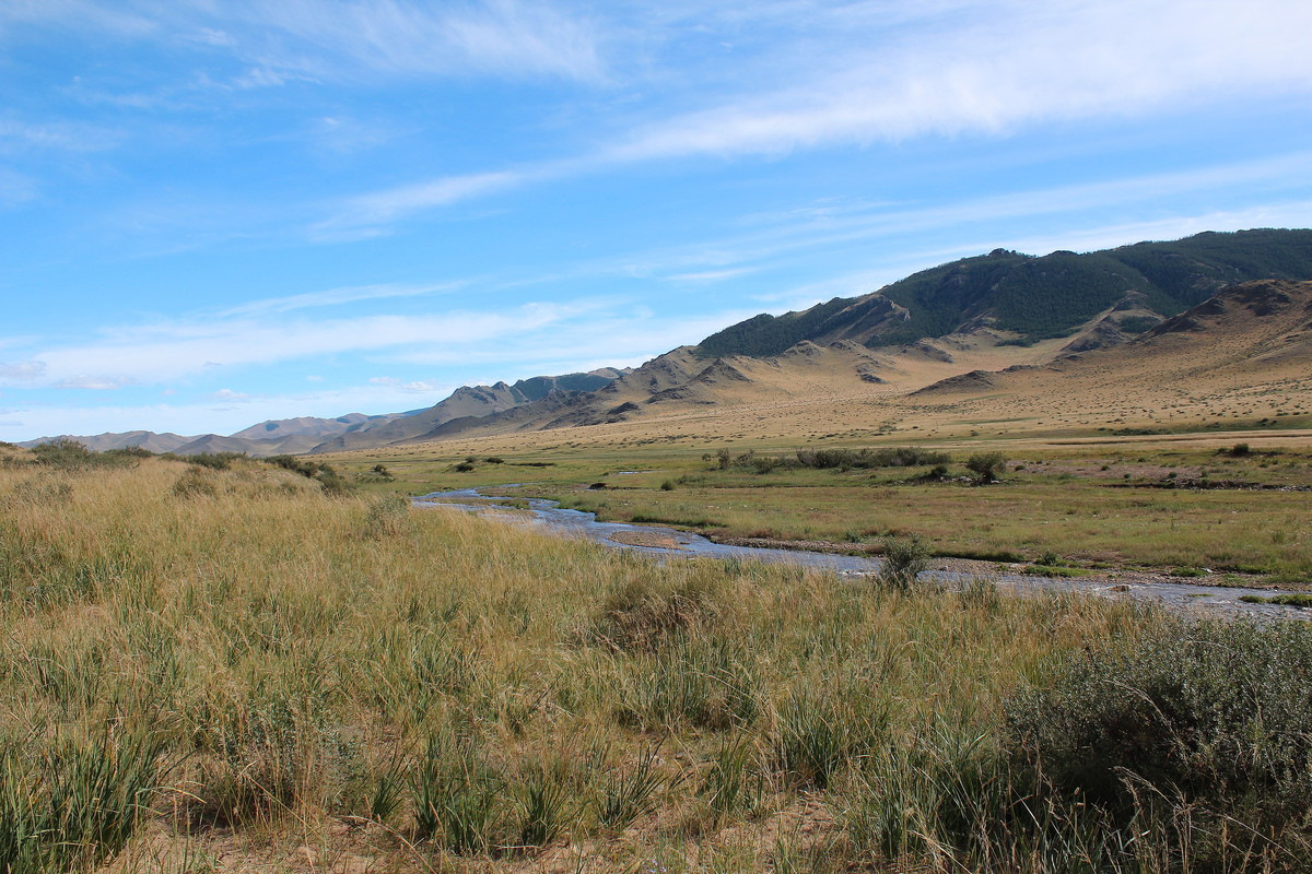 подушка файбер 70/70 см. долина спящих. долина спящих. подушка рокко (70х70). долина спящих.