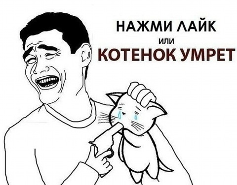 Давай умерем котенок мем