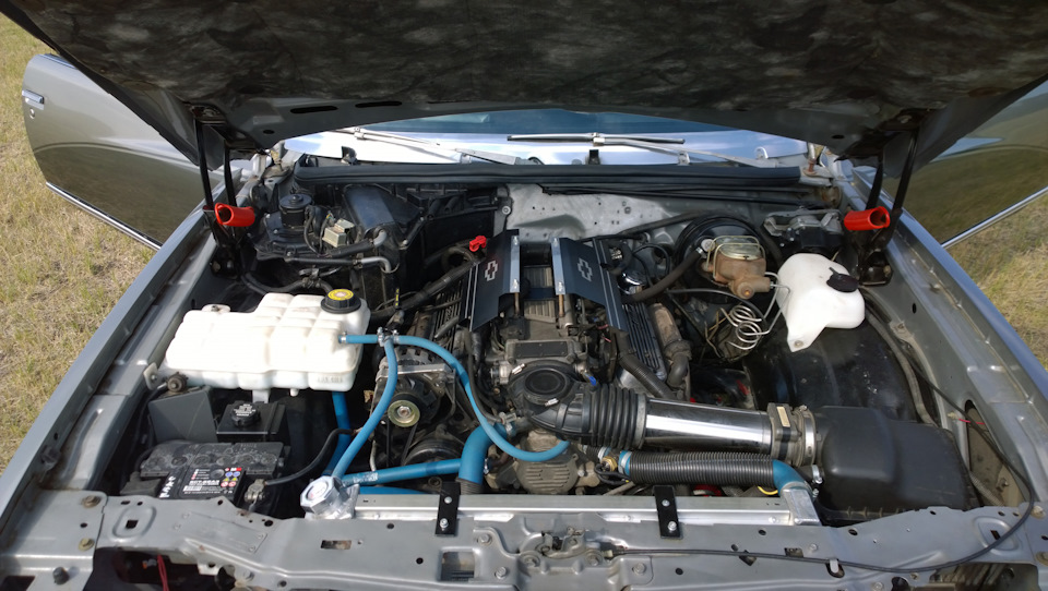 Фото в бортжурнале Chevrolet Monte Carlo III