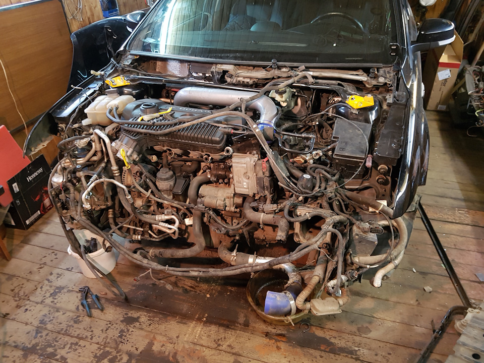 Фото в бортжурнале Ford Focus Sedan II