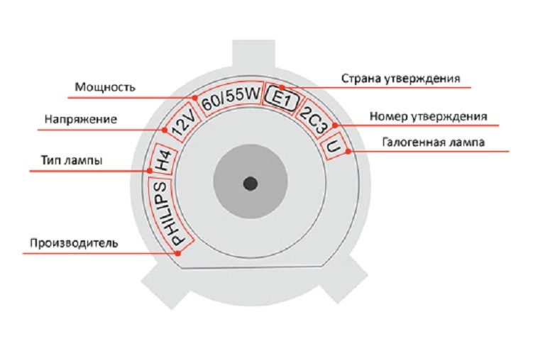 Лампочки газоразрядные для авто. Смотреть фото Лампочки газоразрядные для авто. Смотреть картинку Лампочки газоразрядные для авто. Картинка про Лампочки газоразрядные для авто. Фото Лампочки газоразрядные для авто