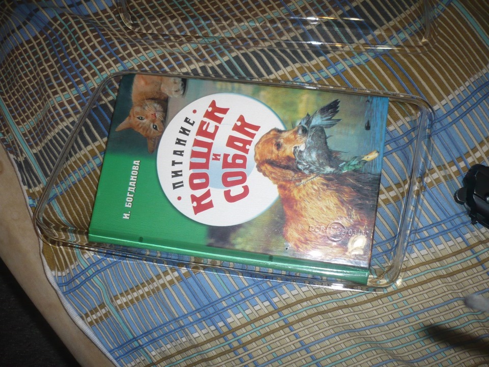 Прозрачные (гладкие) стекла фар из поликарбоната на Audi 80 B4 — www ...