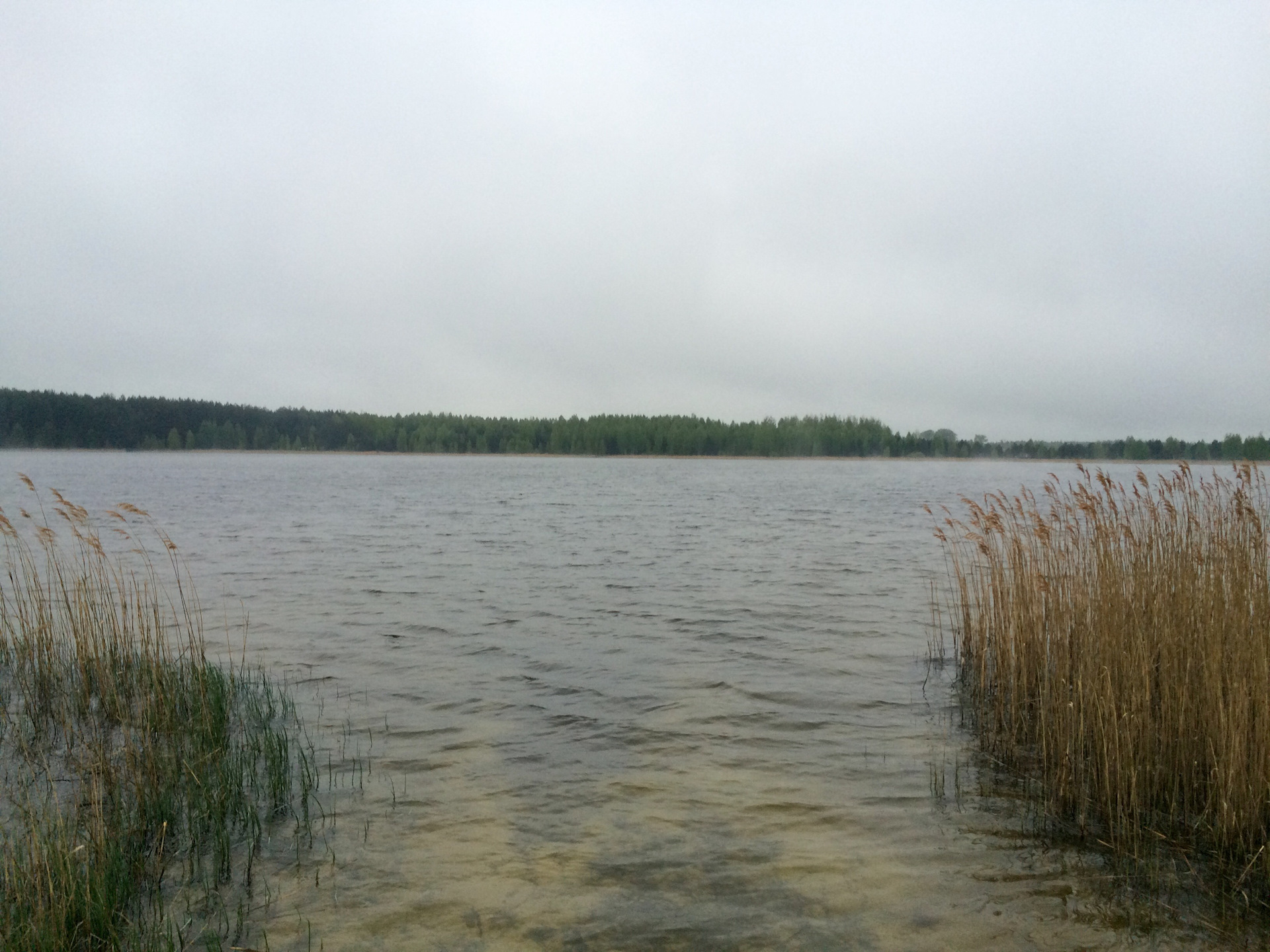 Озеро святое рязанская область клепиковский район фото