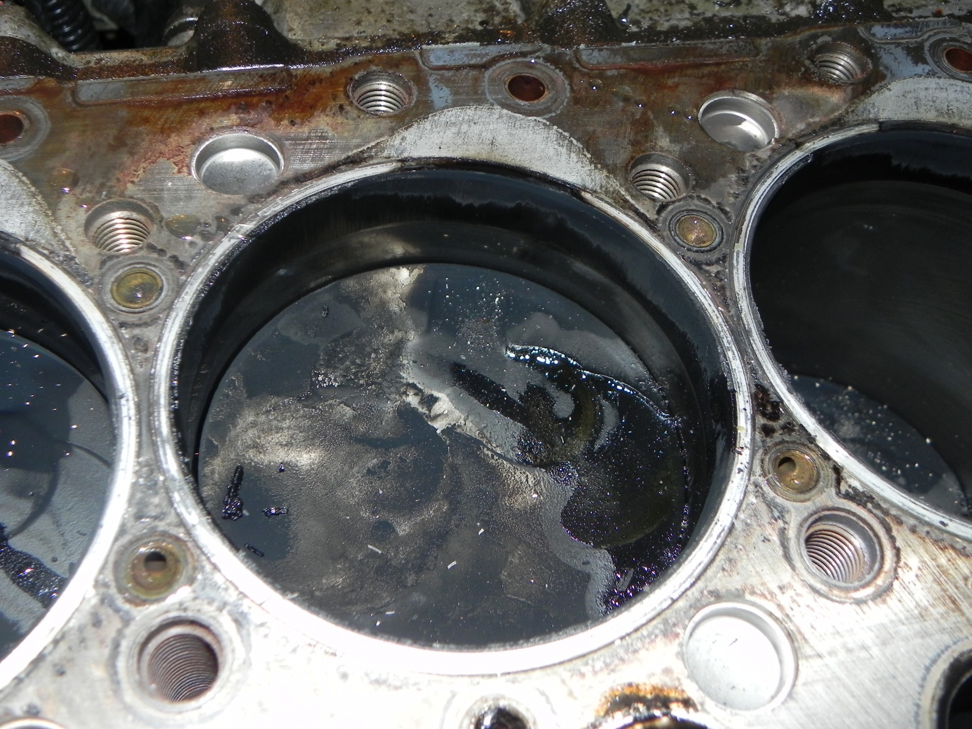 Фото в бортжурнале Nissan Safari (Y60)