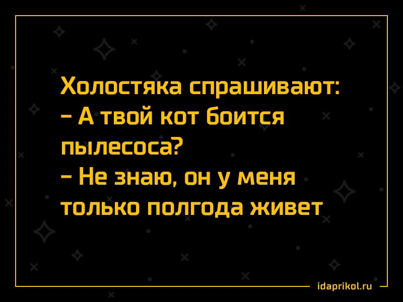 Цитаты холостяков. Цитаты про холостяков. Цитаты холостяков. Холостяк фразы. Убежденные холостяки.