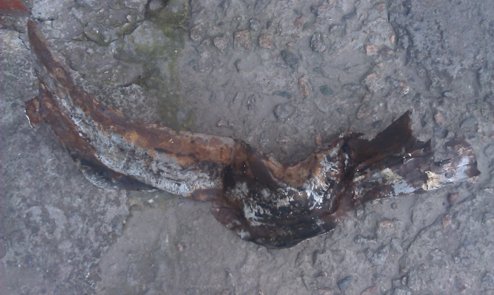 В очередной раз просто хотел покрасить юбку \"гравитексом\". А получилось ...