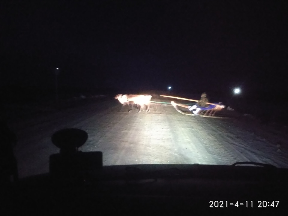 Фото в бортжурнале Volkswagen Multivan (T4)