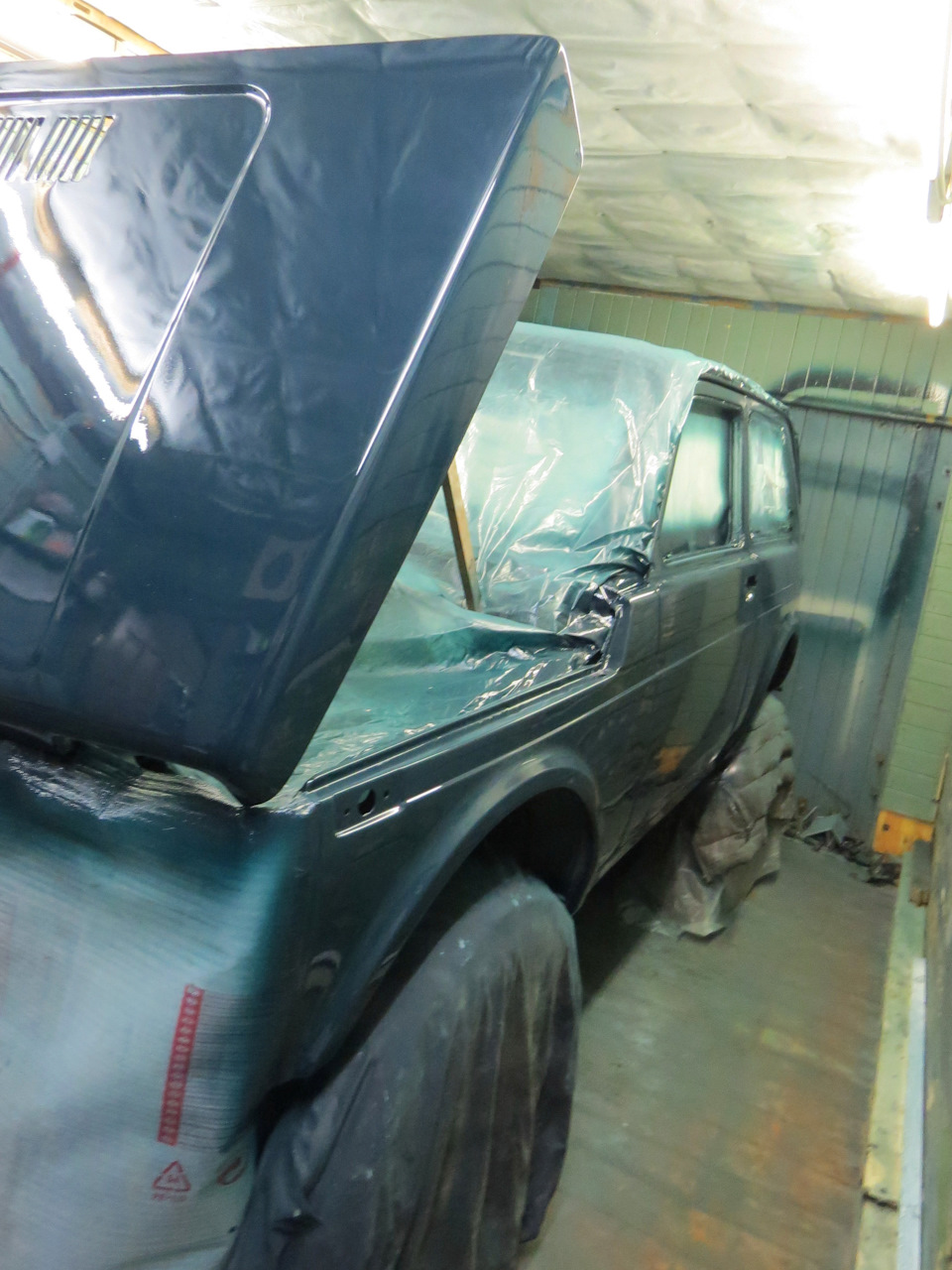Покраска авто цвет мурена