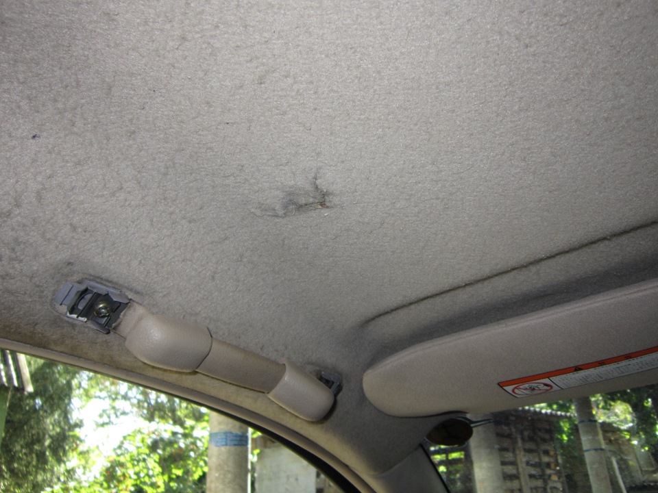 Ремонт обшивки автомобиля. Обшивка потолка Nissan Bluebird Sylphy 2001 года. Потолок Ниссан Блюберд. Киа шума обшивка потолка. Заглушка держателя обивки потолка Ниссан Патрол 2001г.