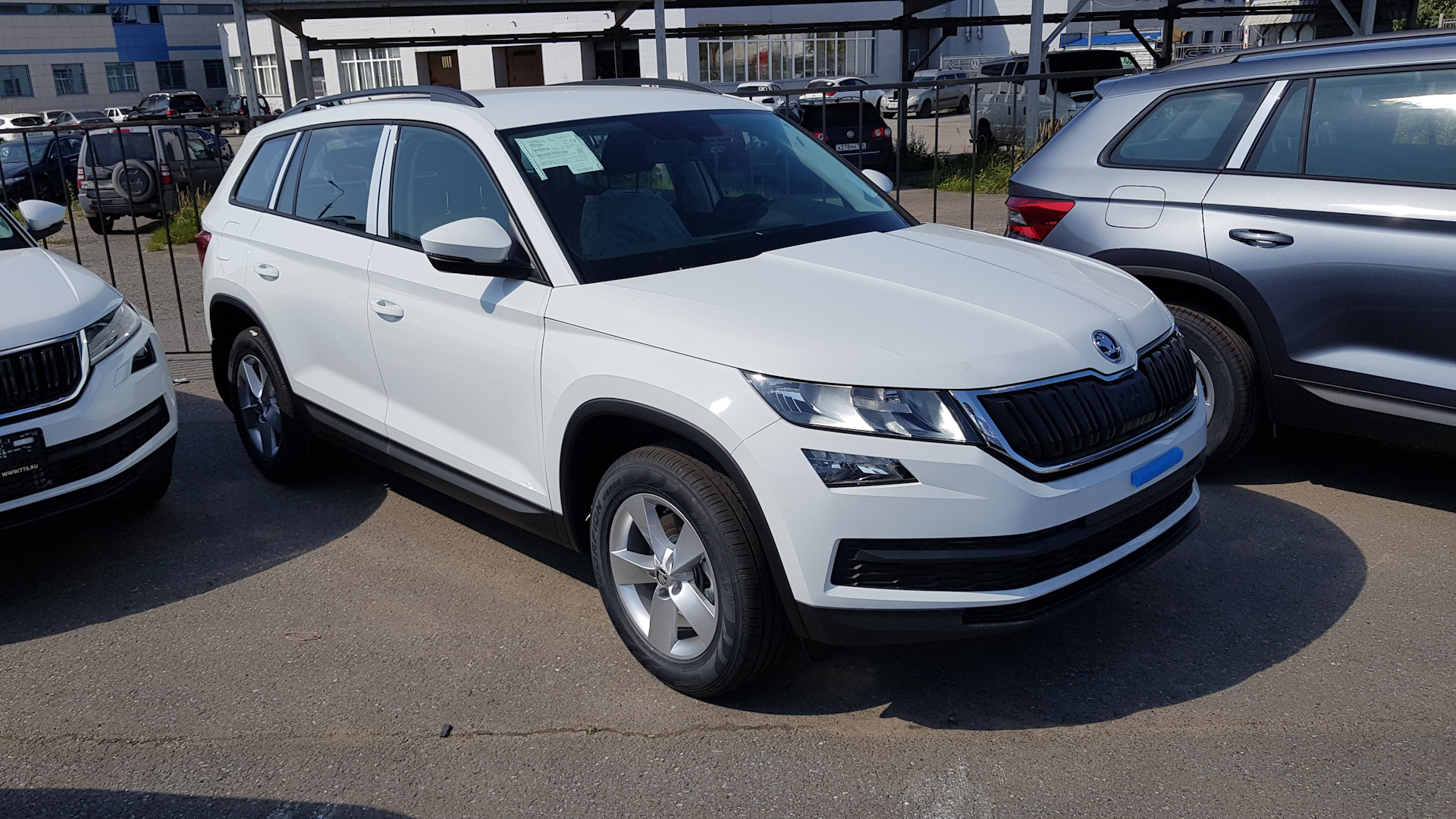 Skoda Kodiaq 1.4 бензиновый 2019 | Ice Bear на DRIVE2