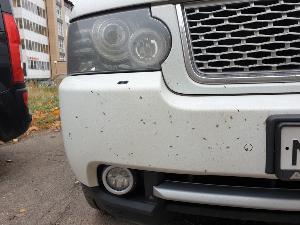 Промывка форсунок от Hi Gear — Land Rover Range Rover (3G), 5 л, 2011 ...