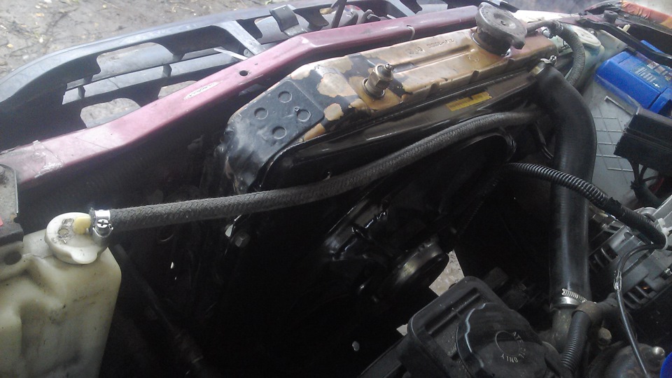 Фото в бортжурнале Great Wall Deer