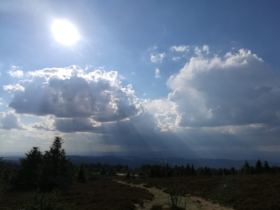 Фото в бортжурнале Audi A4 (B9)