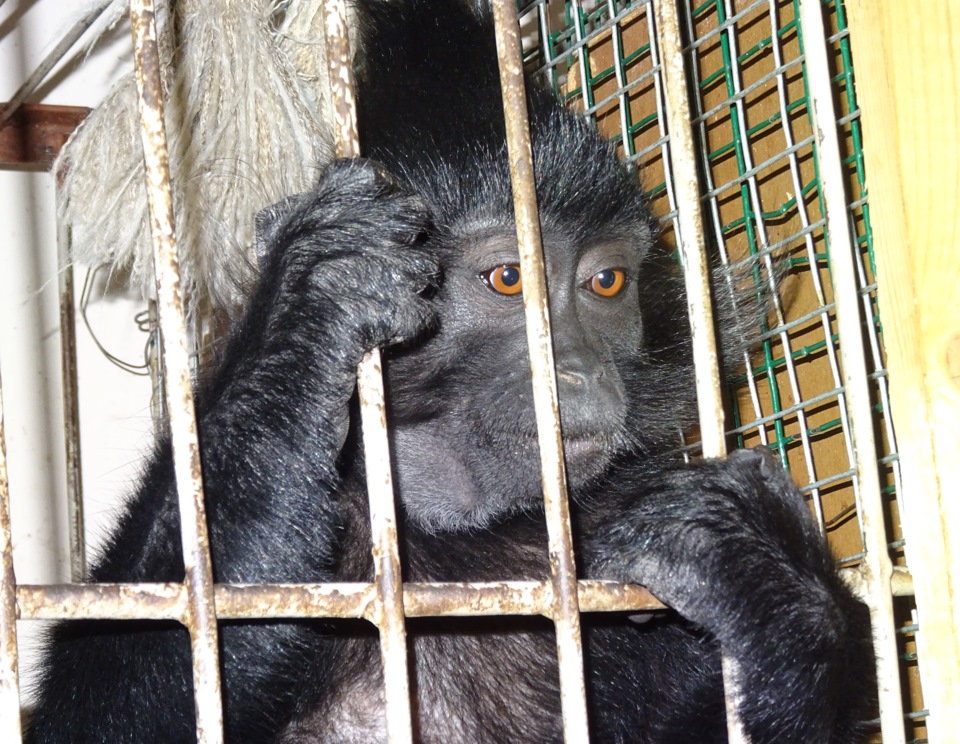 Биологический центр семей казахстан. Семья в зоопарке. Биологический центр семей казахстан. Биологический центр семей. Зоопарк в семее.