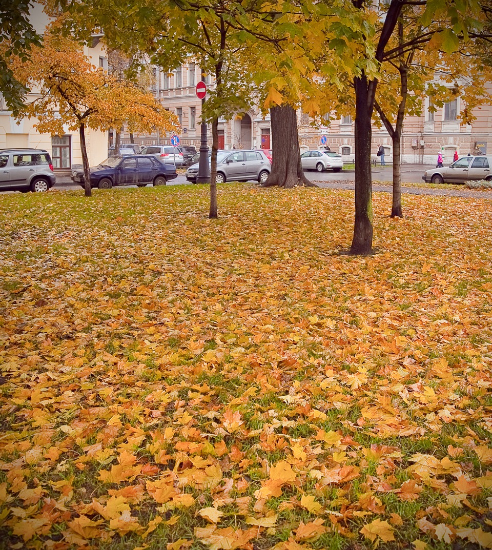 Октябрь авто. Октябрь в городе. СПБ осень октябрь. Питер в октябре. Октябрь в СПБ 2021.