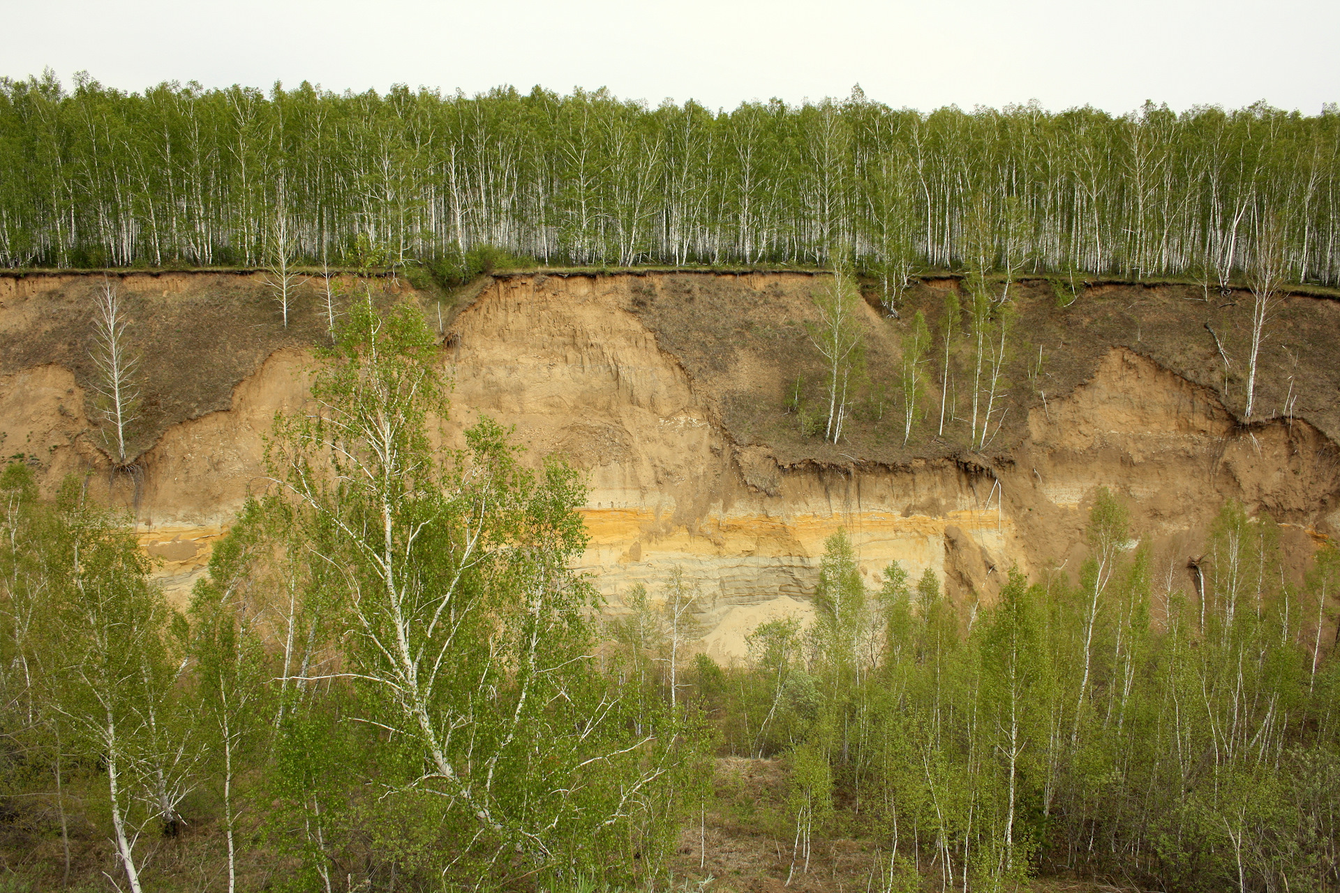 Лесс грунт