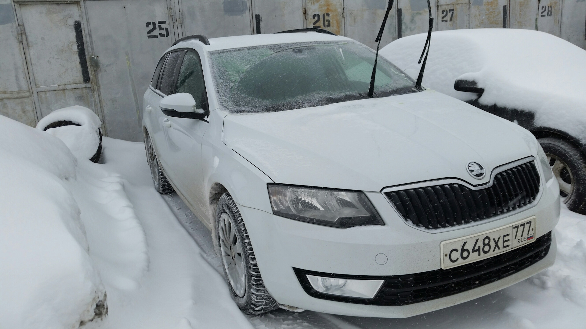 Skoda Octavia a7 зима