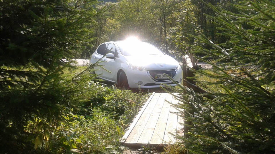 Peugeot 208 "little white lion"