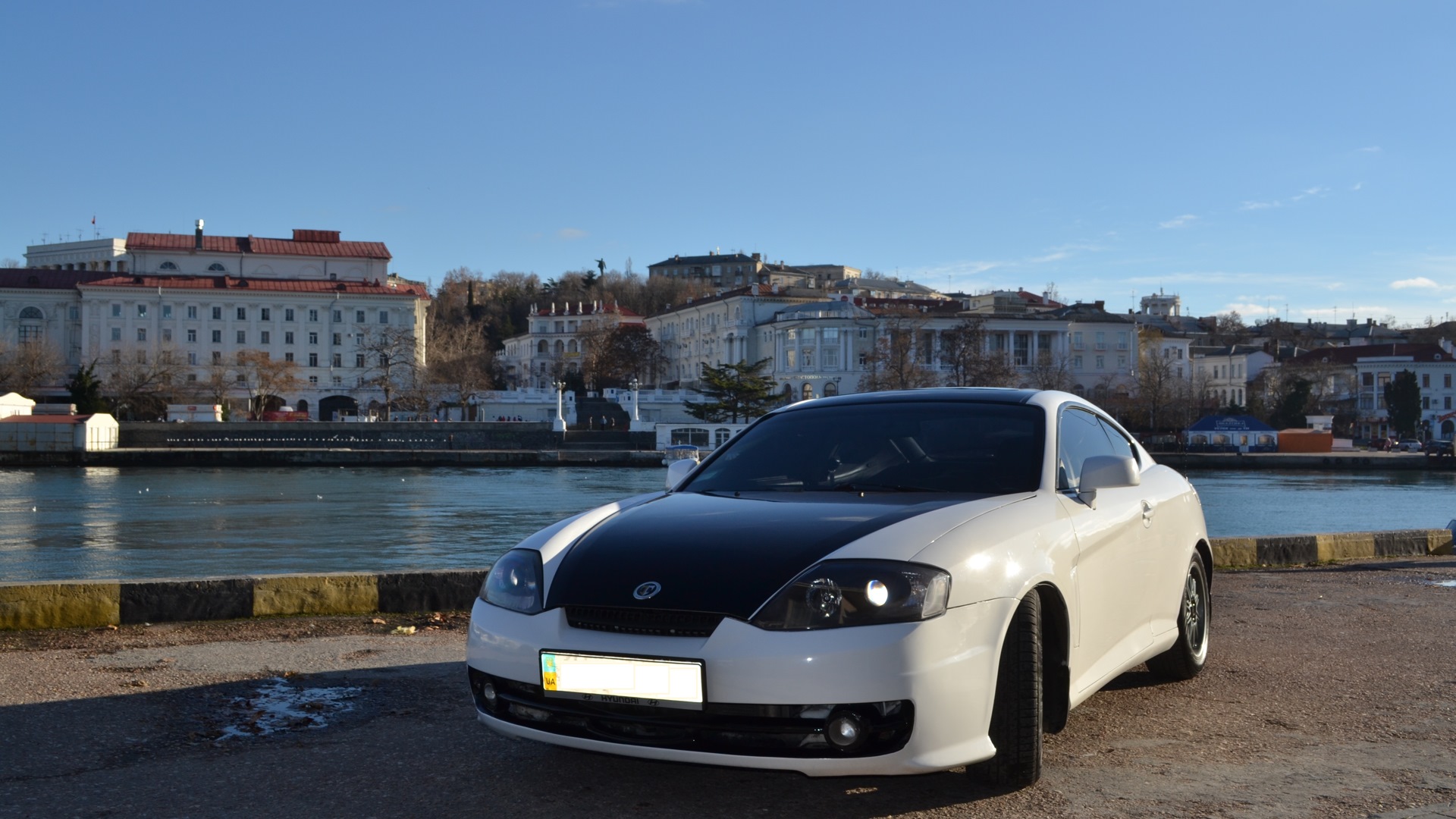 Hyundai Tiburon (GK) 2.0 бензиновый 2004 | Фито няшка на DRIVE2