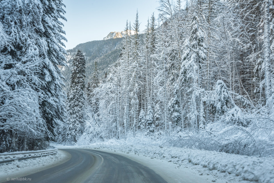 Фото в бортжурнале Volkswagen Tiguan (2G)