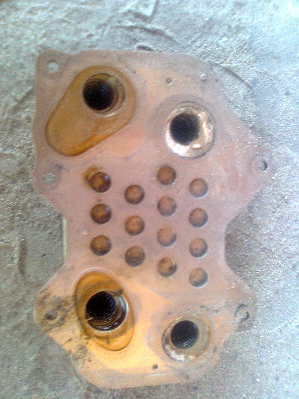 Замена Маслоохладителя (моторного масла) — Audi A8 (D2), 4,2 л, 2002 ...