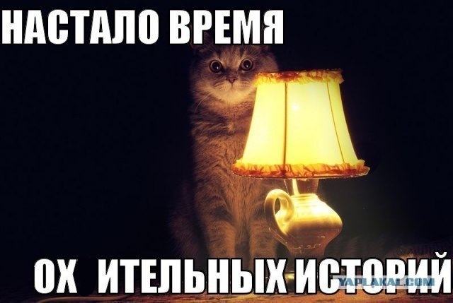 цурикова на авто что это. Смотреть фото цурикова на авто что это. Смотреть картинку цурикова на авто что это. Картинка про цурикова на авто что это. Фото цурикова на авто что это