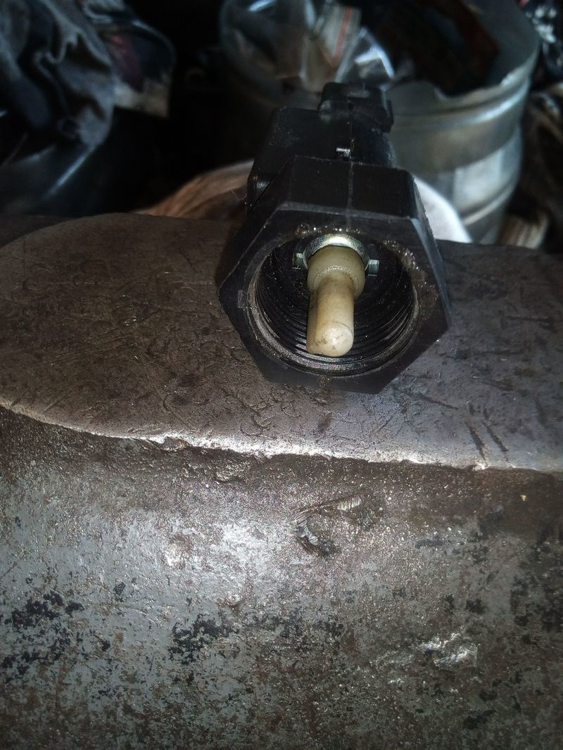 Фото в бортжурнале SsangYong Musso