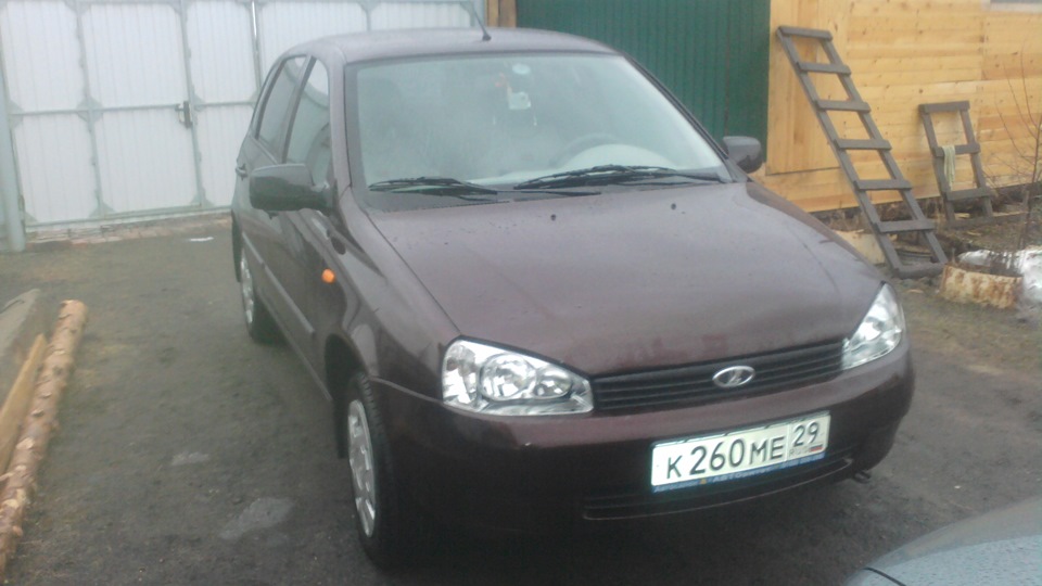 Калина Купить Бу В Архангельске