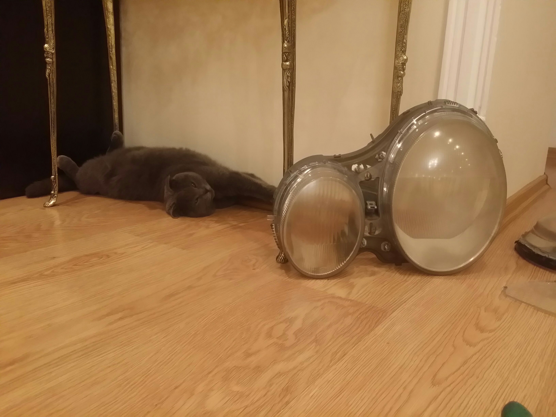 Полировка фар w210 — Mercedes-Benz E-class (W210), 3,2 л, 1998 года ...