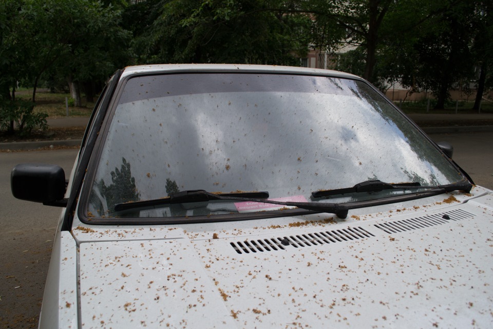Полоса на лобовом стекле — Volkswagen Golf GTI Mk2, 1,8 л, 1989 года ...