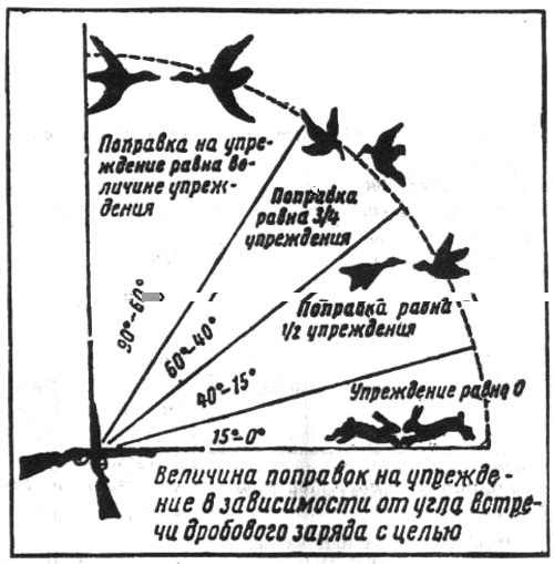 Схема стрельбы по гусю