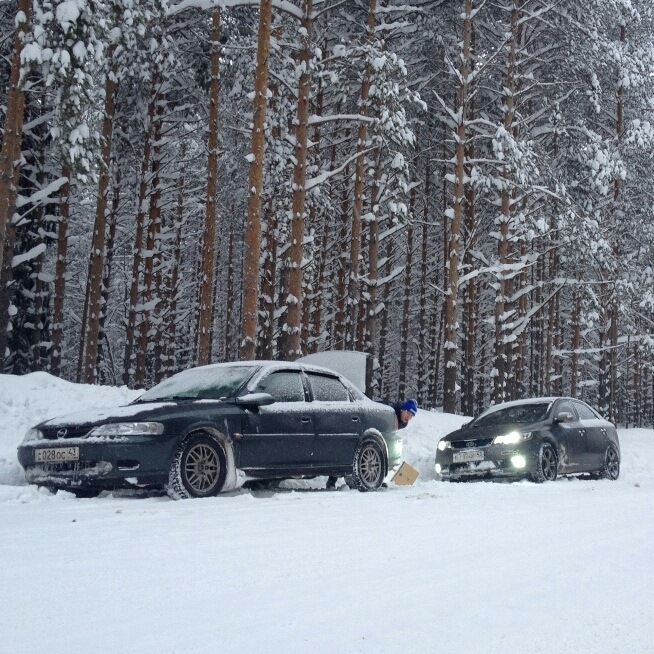 Фото в бортжурнале Opel Vectra B