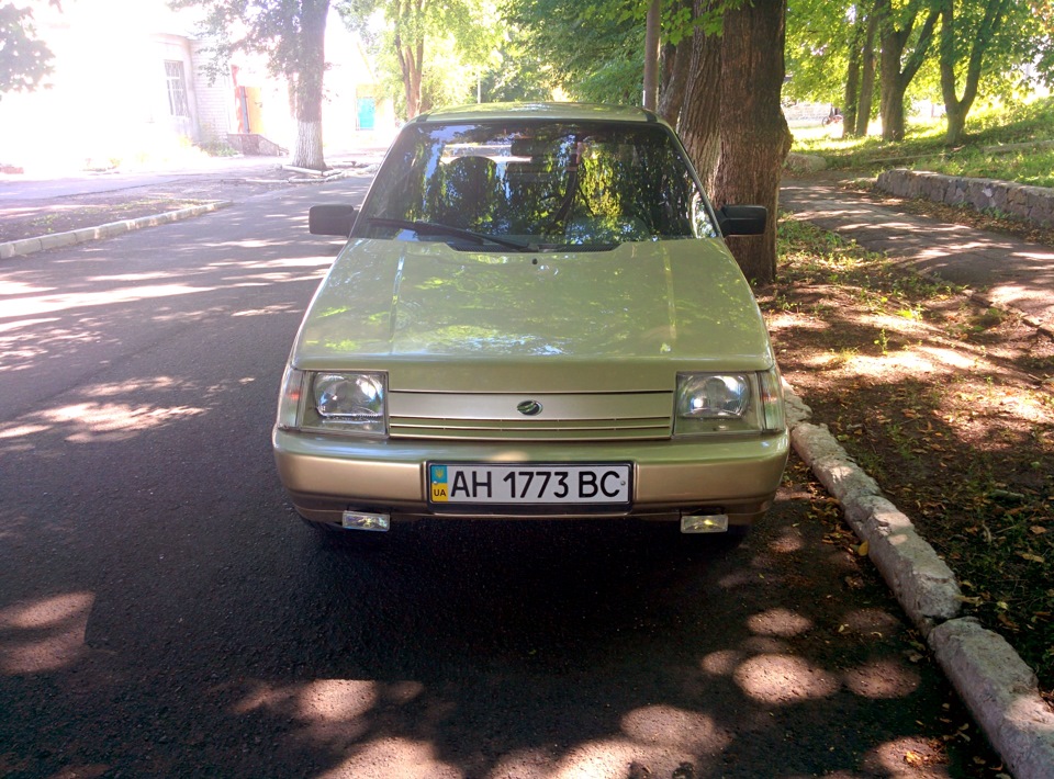 Зеркала Люкс+Боковой молдинг+Прокатка диска — ЗАЗ 1103, 1,2 л, 2003 ...