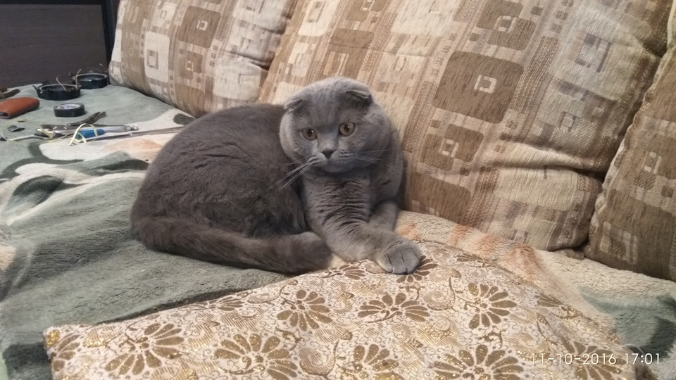 Фото в бортжурнале Hyundai Tucson (TL)