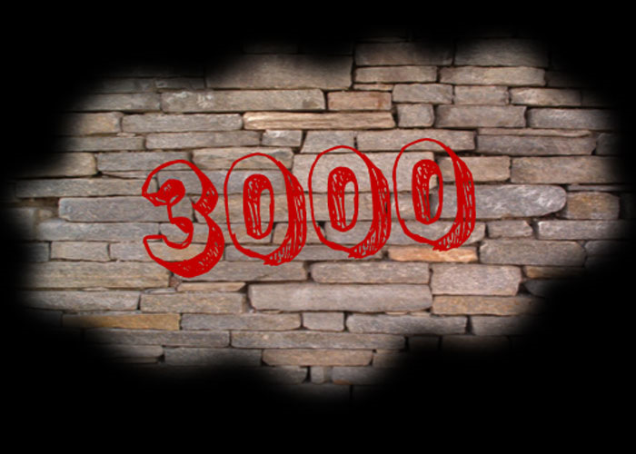 3000 подписчиков картинка