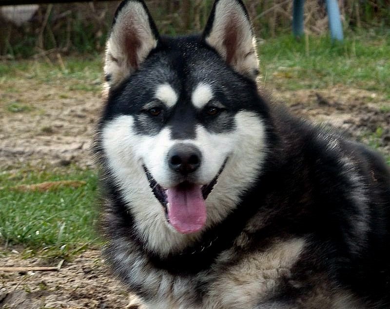 ��������� ������� ������� ������ ���� ���