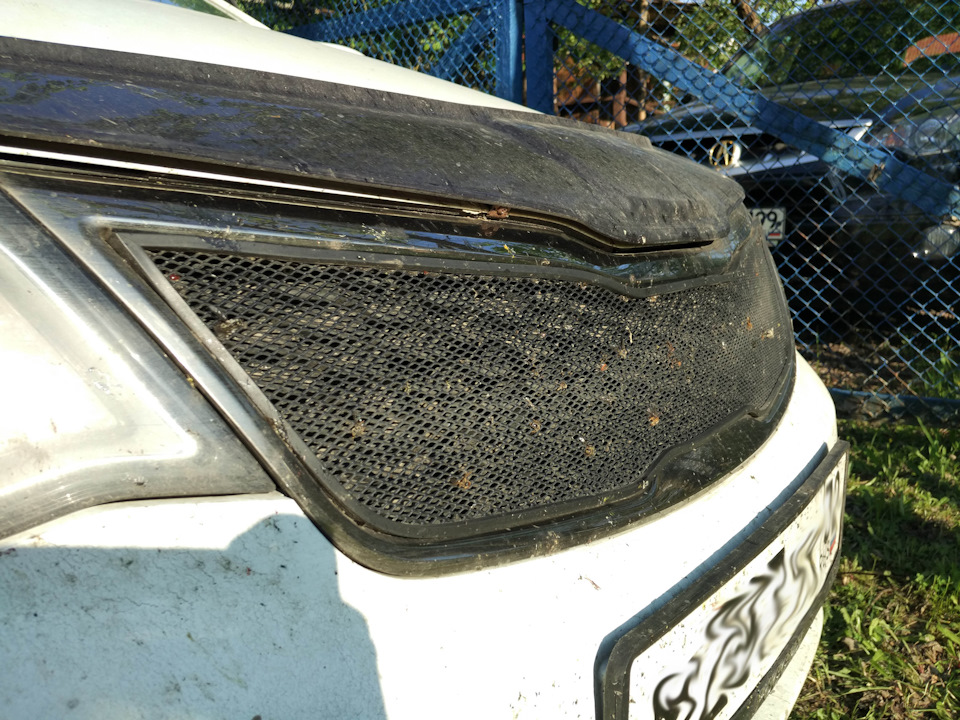 Сетка на решетки радиаторов — KIA Rio (3G), 1,6 л, 2015 года ...