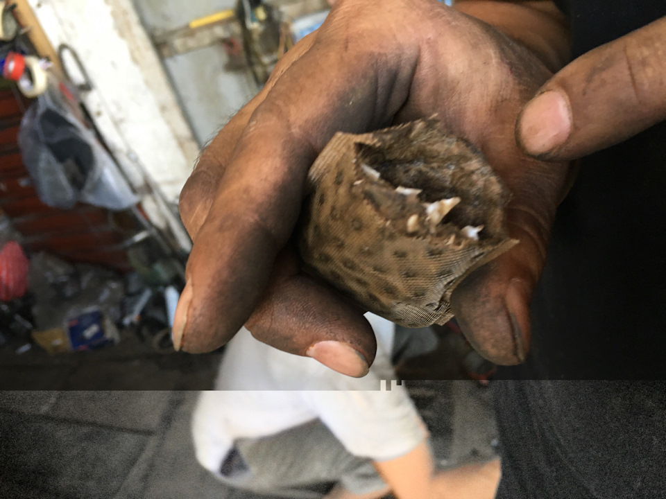 Замена сетки бензонасоса на шкода рапид 1.4 — Skoda Rapid (1G), 1,4 л ...