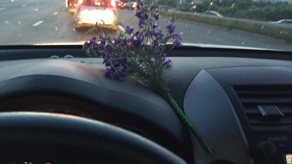 БЛОК TCM — Ford Focus III Hatchback, 2012 года | поломка | DRIVE2