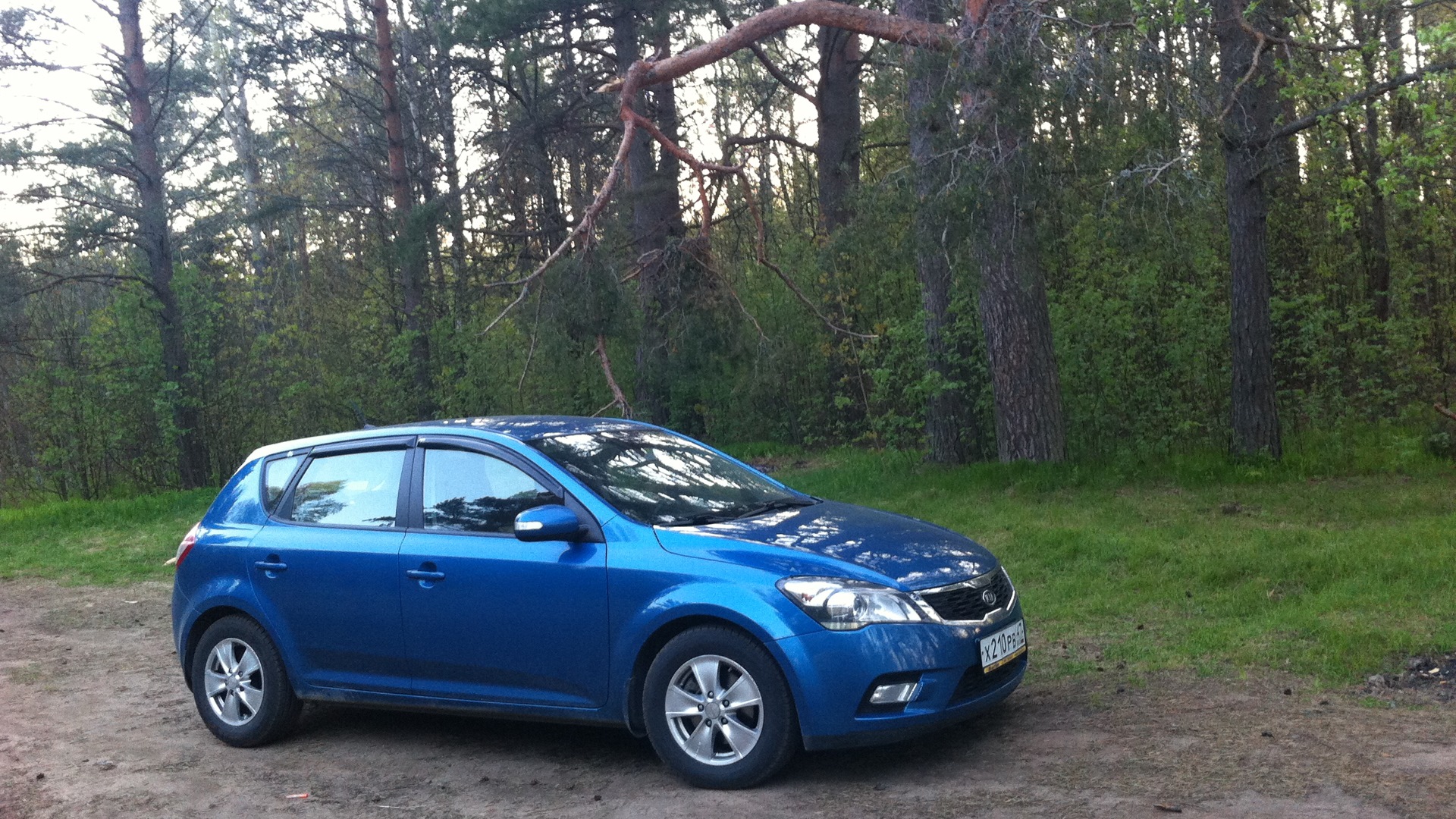 KIA Ceed (1G) 1.6 бензиновый 2010 | Restyling Синяя борода на DRIVE2