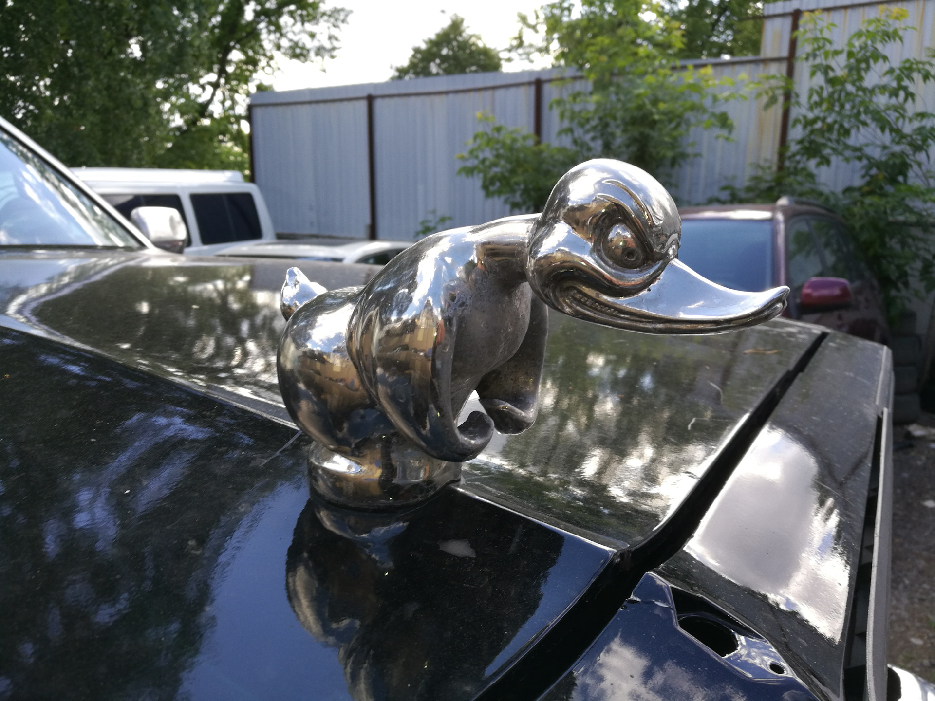 Death Proof Duck